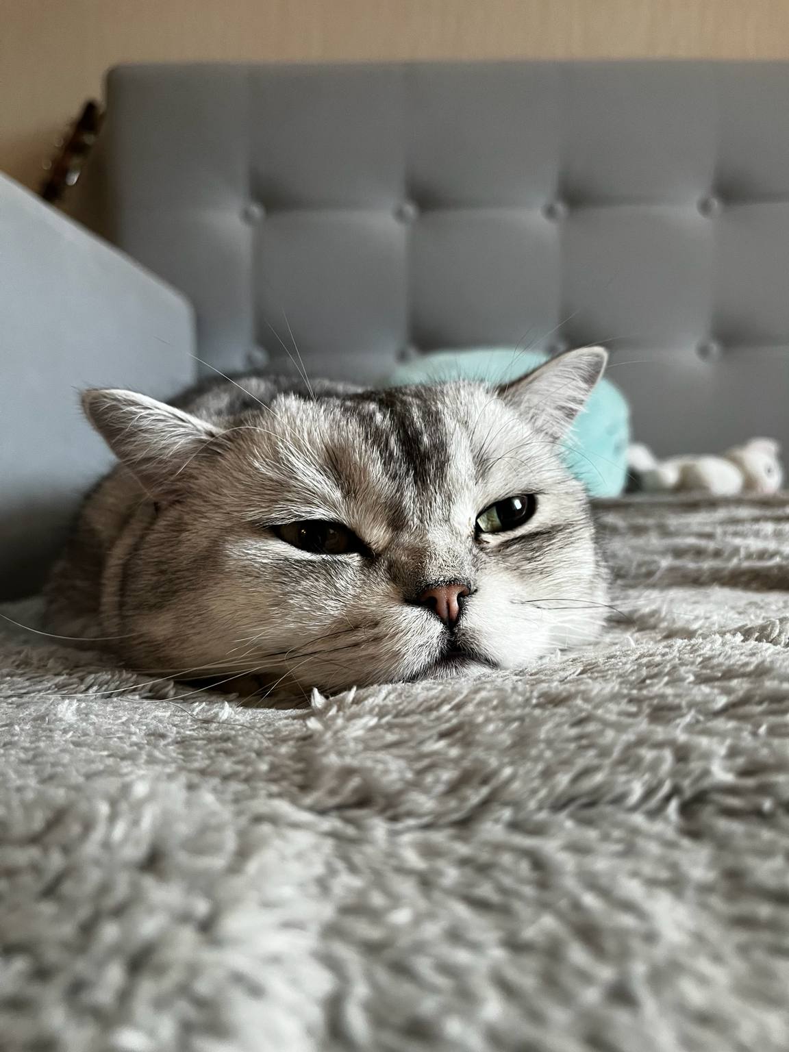 Гордюша