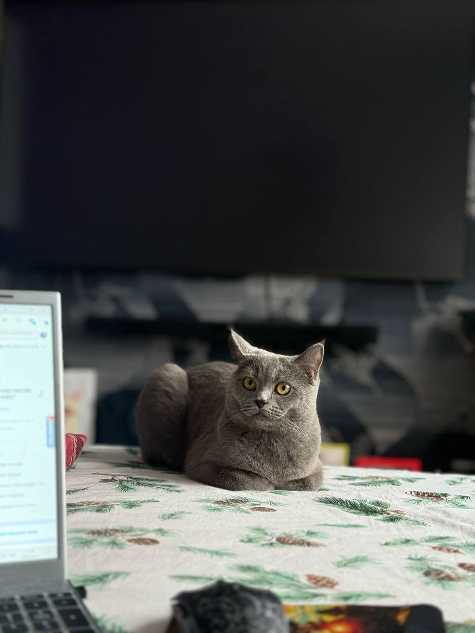 Оливия